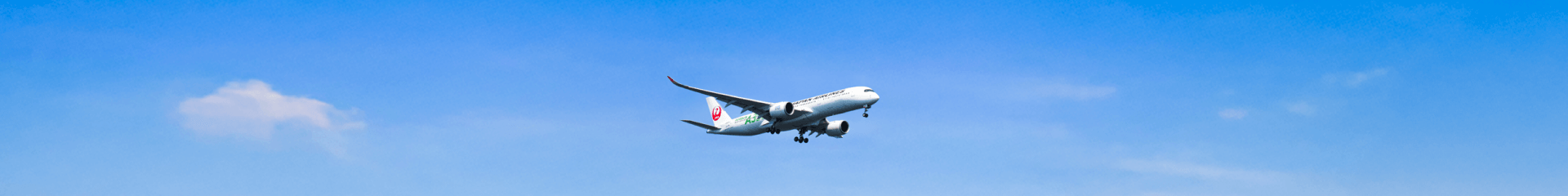 JAL CAE FLIGHT TRAINING Co., Ltd